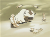Appa Circles